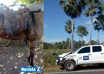 Vaqueiro fica ferido após ser atropelado por veículo da Cepisa